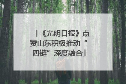 《光明日报》点赞山东积极推动“四链”深度融合