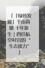 「绿色发展」千亩荷塘 十年新生｜四任航空村官的“生态接力”