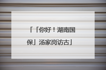 「你好！湖南国保」汤家岗访古