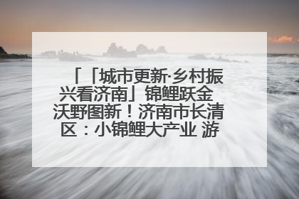 「城市更新·乡村振兴看济南」锦鲤跃金 沃野图新！济南市长清区：小锦鲤大产业 游出农旅新风景