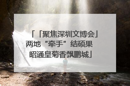 「聚焦深圳文博会」两地“牵手”结硕果 昭通皇菊香飘鹏城
