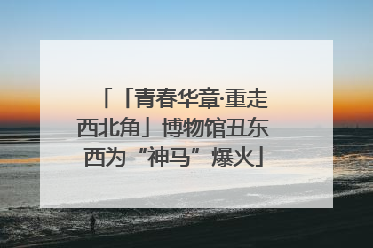 「青春华章·重走西北角」博物馆丑东西为“神马”爆火