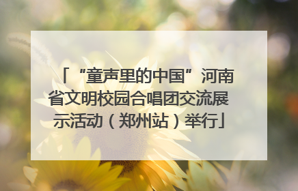 “童声里的中国”河南省文明校园合唱团交流展示活动（郑州站）举行