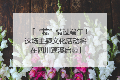 “粽”情过端午！这场主题文化活动将在四川蓬溪启幕