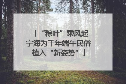 “粽叶”乘风起 宁海为千年端午民俗植入“新姿势”