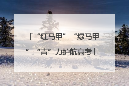 “红马甲”“绿马甲”“青”力护航高考