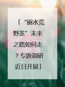 “丽水荒野茶”未来之路如何走？专题调研近日开展