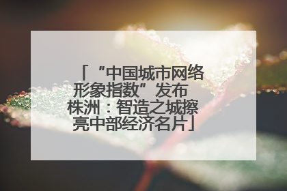 “中国城市网络形象指数”发布 株洲：智造之城擦亮中部经济名片