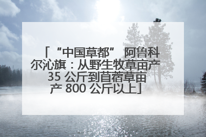 “中国草都” 阿鲁科尔沁旗：从野生牧草亩产 35 公斤到苜蓿草亩产 800 公斤以上