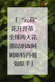 “云荷”花开并蒂 全球两大花都昆明&阿姆斯特丹强强联手