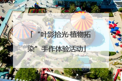 “叶影拾光·植物拓染”手作体验活动