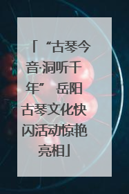 “古琴今音·洞听千年” 岳阳古琴文化快闪活动惊艳亮相