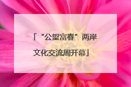 “公望富春”两岸文化交流周开幕