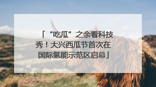 “吃瓜”之余看科技秀！大兴西瓜节首次在国际氢能示范区启幕