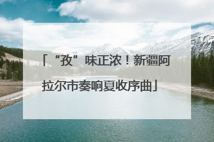 “孜”味正浓！新疆阿拉尔市奏响夏收序曲
