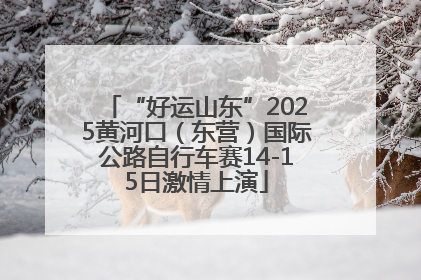 “好运山东”2025黄河口（东营）国际公路自行车赛14-15日激情上演