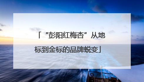 “彭阳红梅杏”从地标到金标的品牌蜕变