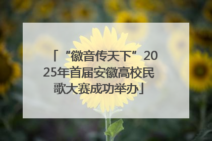 “徽音传天下”2025年首届安徽高校民歌大赛成功举办