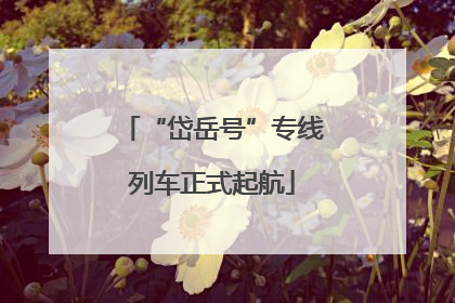 “岱岳号”专线列车正式起航