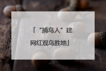 “捕鸟人”建网红观鸟胜地