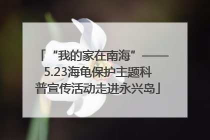 “我的家在南海”——5.23海龟保护主题科普宣传活动走进永兴岛