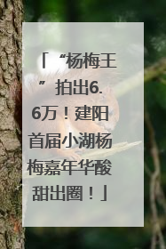 “杨梅王”拍出6.6万！建阳首届小湖杨梅嘉年华酸甜出圈！