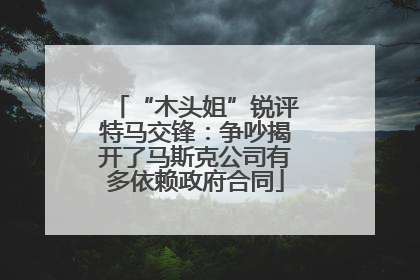 “木头姐”锐评特马交锋：争吵揭开了马斯克公司有多依赖政府合同