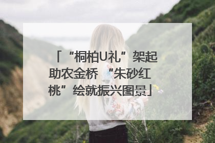 “桐柏U礼”架起助农金桥 “朱砂红桃”绘就振兴图景