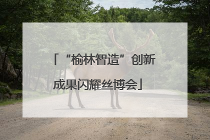 “榆林智造”创新成果闪耀丝博会