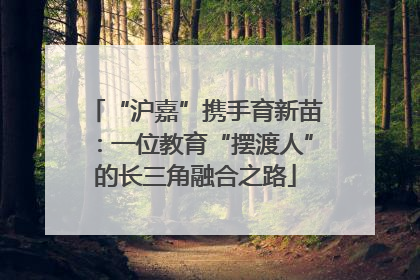“沪嘉”携手育新苗：一位教育“摆渡人”的长三角融合之路