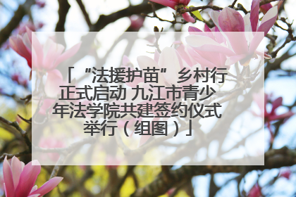 “法援护苗”乡村行正式启动 九江市青少年法学院共建签约仪式举行（组图）