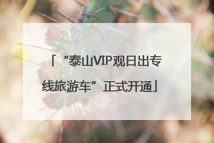 “泰山VIP观日出专线旅游车”正式开通