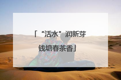 “活水”润新芽 钱塘春茶香