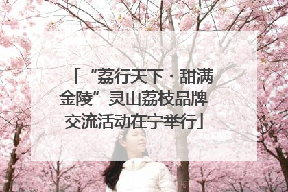 “荔行天下・甜满金陵”灵山荔枝品牌交流活动在宁举行
