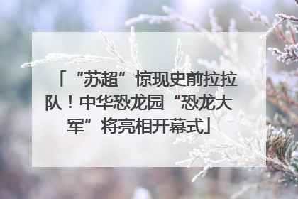 “苏超”惊现史前拉拉队！中华恐龙园“恐龙大军”将亮相开幕式