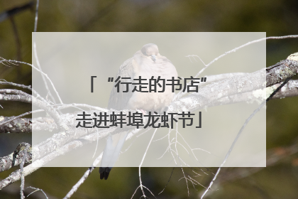 “行走的书店”走进蚌埠龙虾节