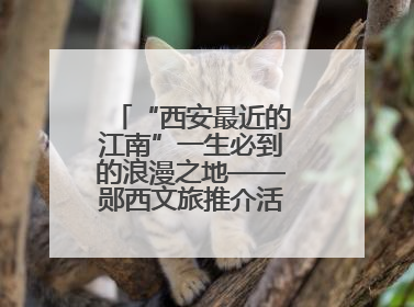 “西安最近的江南”一生必到的浪漫之地——郧西文旅推介活动在西安举行