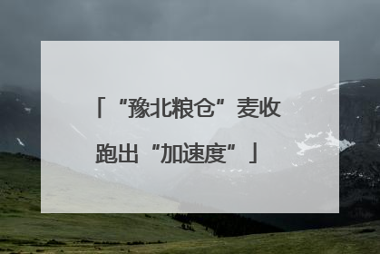 “豫北粮仓”麦收跑出“加速度”