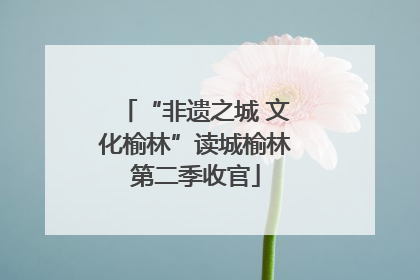 “非遗之城 文化榆林”读城榆林第二季收官