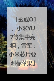 玄戒O1、小米YU7等集中亮相，雷军：小米芯片要对标苹果
