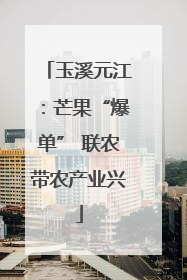 玉溪元江：芒果“爆单” 联农带农产业兴