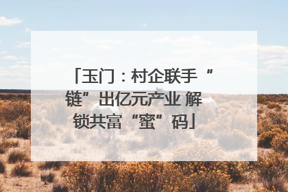 玉门：村企联手“链”出亿元产业 解锁共富“蜜”码