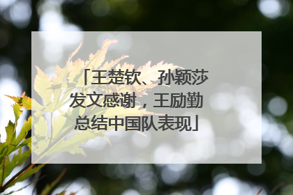 王楚钦、孙颖莎发文感谢，王励勤总结中国队表现