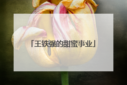 王铁强的甜蜜事业