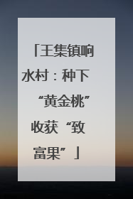 王集镇响水村：种下“黄金桃” 收获“致富果”