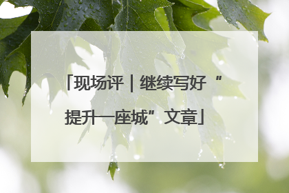 现场评｜继续写好“提升一座城”文章