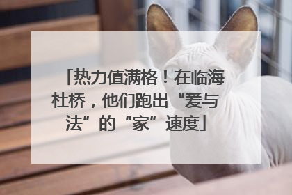 热力值满格！在临海杜桥，他们跑出“爱与法”的“家”速度