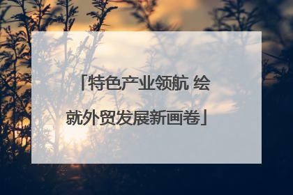 特色产业领航 绘就外贸发展新画卷