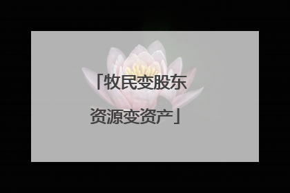 牧民变股东 资源变资产
