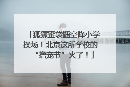 狐獴蜜袋鼯空降小学操场！北京这所学校的“撸宠节”火了！